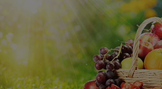 北京禾心益農(nóng)業(yè)科技發(fā)展集團有限公司網(wǎng)站開發(fā)